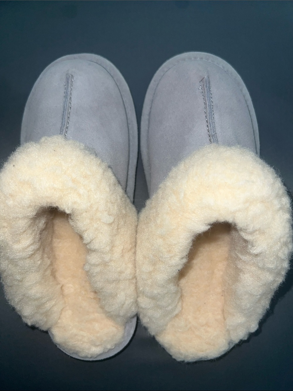 BearPaw